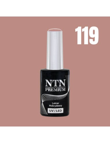 NTN premium 119