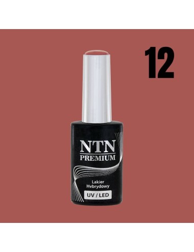 NTN premium 12