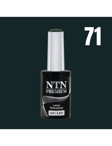NTN premium 71