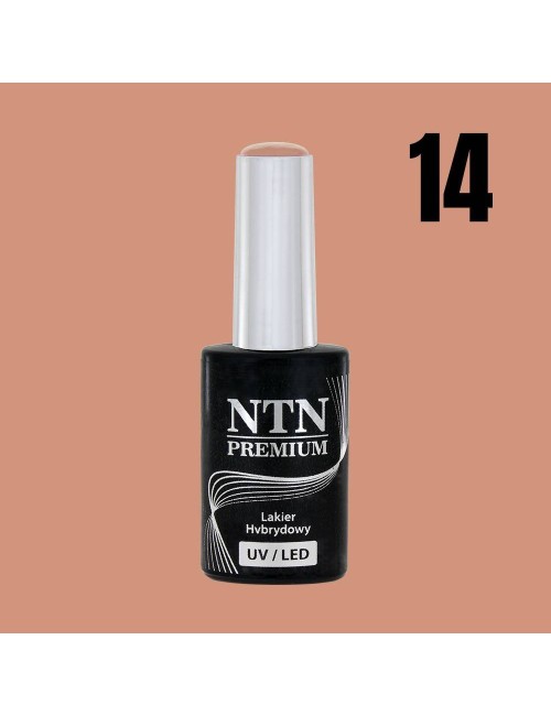 NTN premium 14