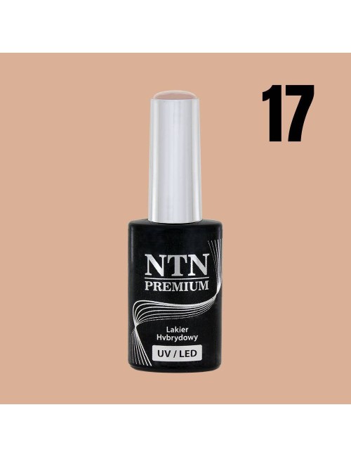 NTN premium 17