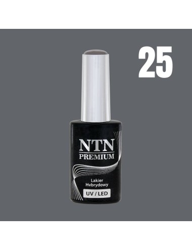 NTN premium 25