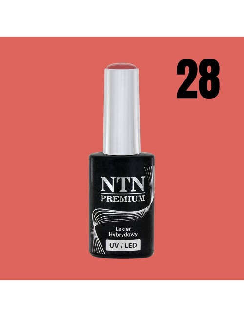 NTN premium 28