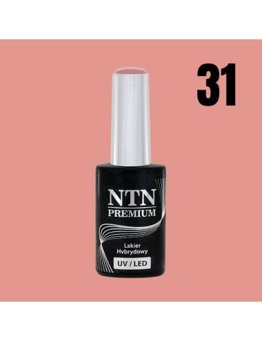 NTN premium 31