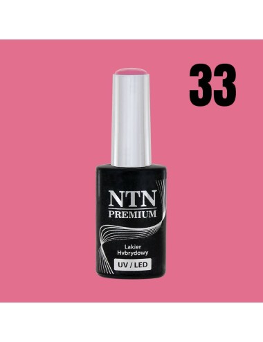 NTN premium 33