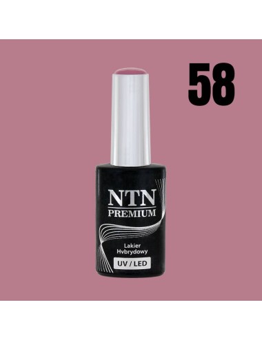 NTN premium 58