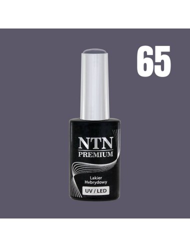 NTN premium 65