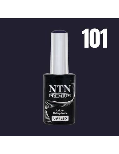 NTN premium 101