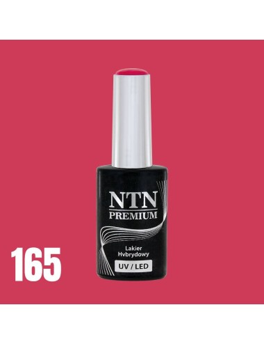 NTN premium 165