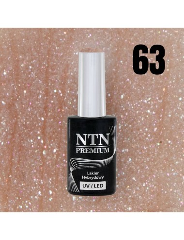 NTN premium 63