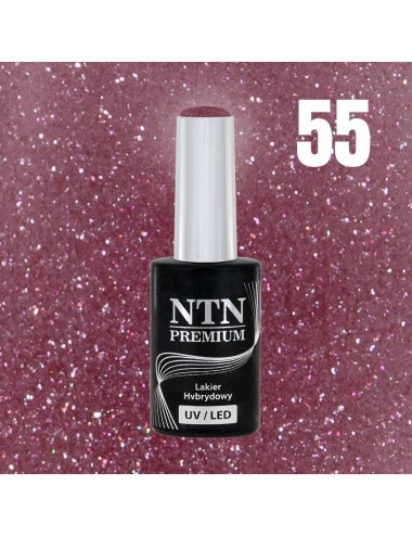 NTN premium 55