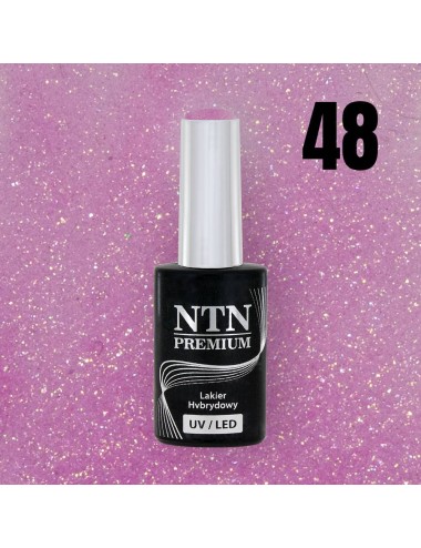 NTN premium 48