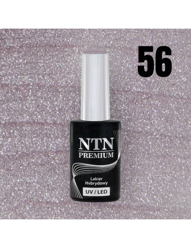 NTN premium 56