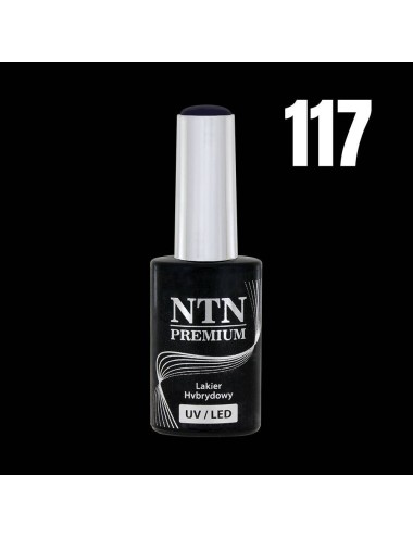 NTN premium 117