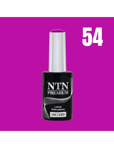 NTN premium 54