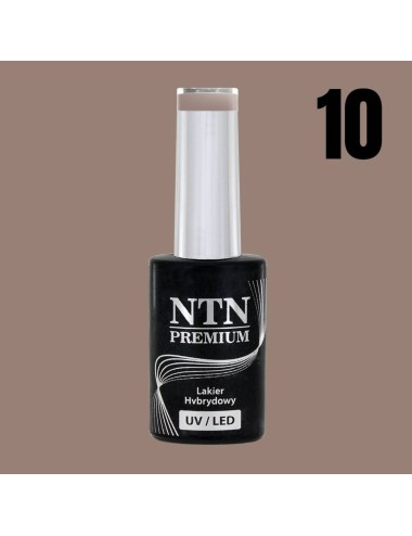 NTN premium 10
