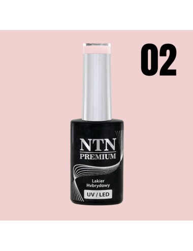 NTN premium 02