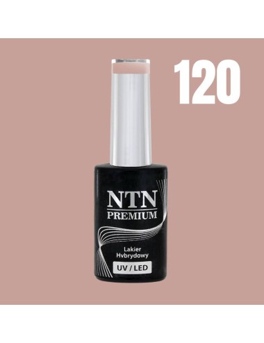NTN premium 120
