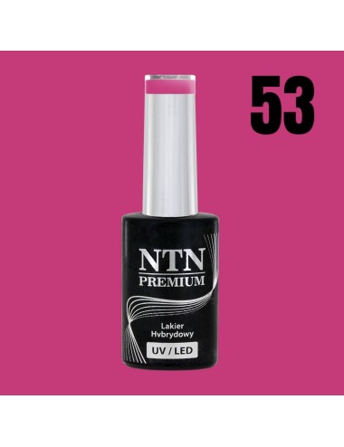 NTN premium 53