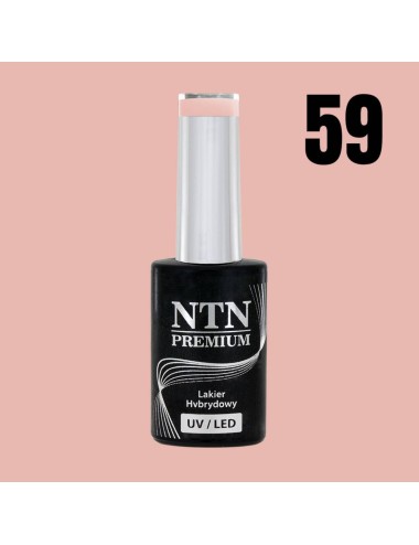 NTN premium 59
