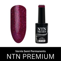 Vernis Semi Permanent NTN Premium